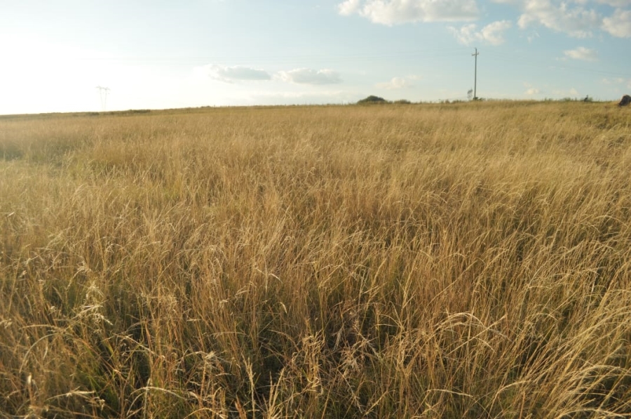 5 Bedroom Property for Sale in Reitz Rural Free State